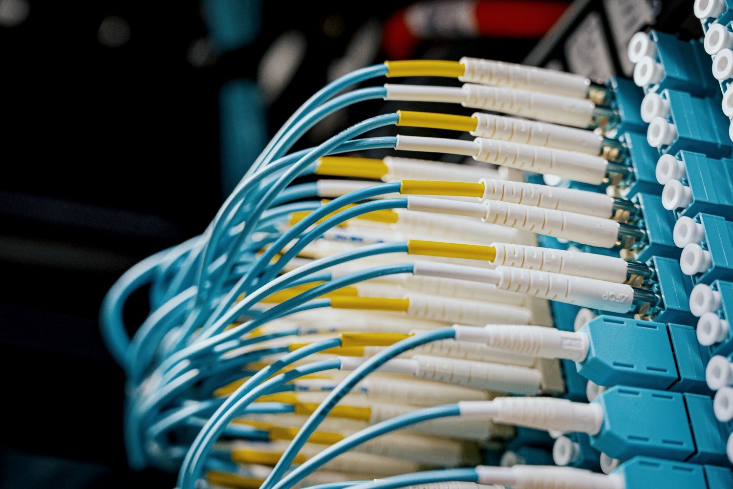 Labeled fiber patch cables in a network panel