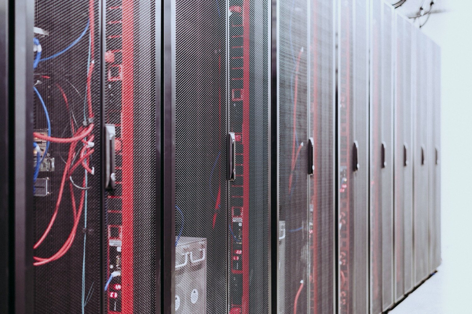 Server racks with labeled cabling behind mesh doors